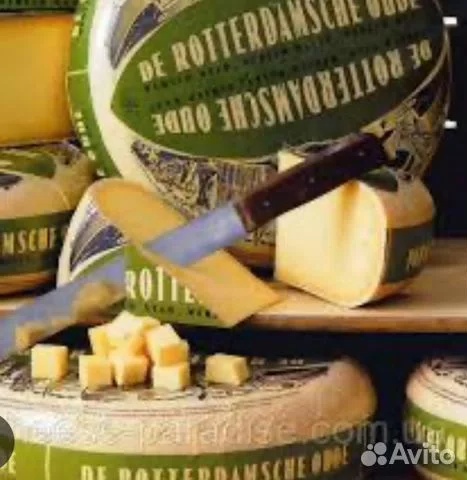 Сыр Роттердам